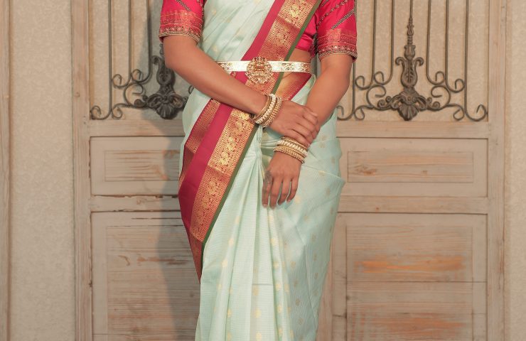 patola saree