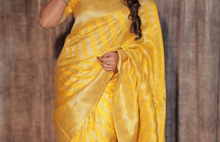 linen saree at preeti silks