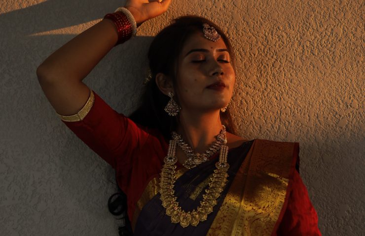 arani saree